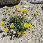 SouthernSierra 340 : SouthernSierra